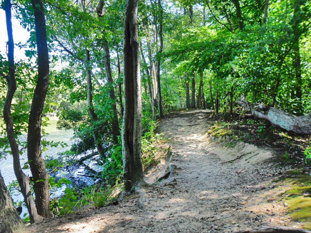 ריצ'מונד Private Boho Bungalow 10 Minutes To Downtown Rva! מראה חיצוני תמונה